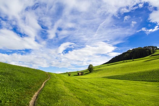 Panoramic view of green fields, blue sky with clouds in Seiser Alm