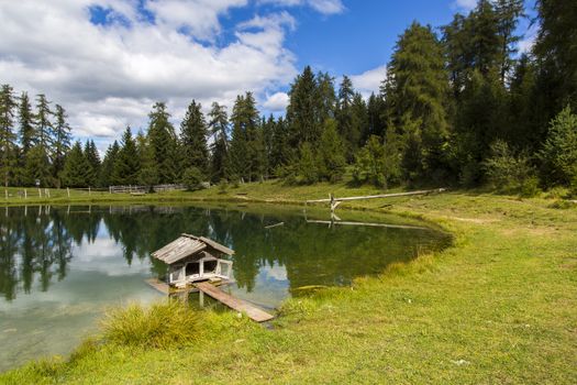 View a small house for ducks in the small lake of Marinzen Alm