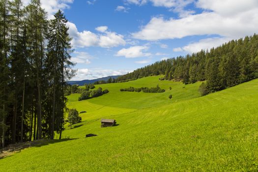 View a portion of the valley in Seiser Alm with green fields and blue sky