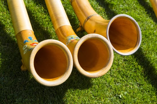 Top view of Alpine horns on green grass