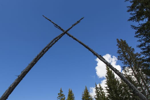 View of two crossed logs under a blue sky with trees on the right