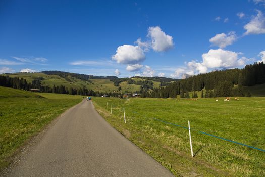 Hiking trail between green fields blue sky with clouds