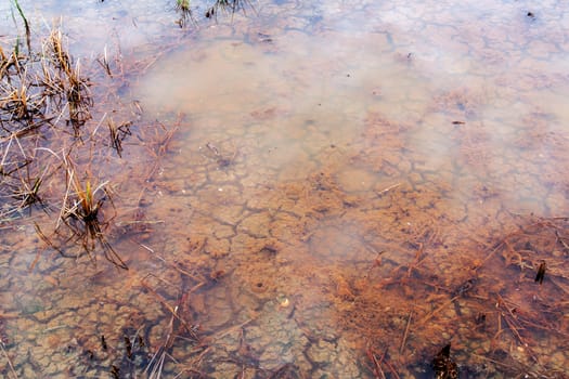 The soil dried had under the flooded. Under water of Drought still see traces.