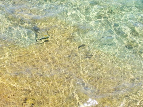 Clear transparent water in the shallows of the coastal beach