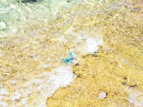 Сlear transparent water in the shallows of the coastal beach