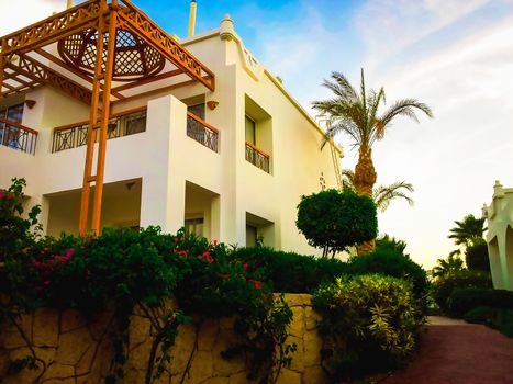 Photo of alley with green plants near the building in the Egyptian style