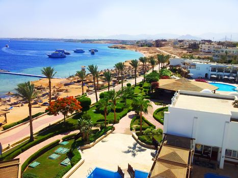 Bright photo of coast beach in Egypt