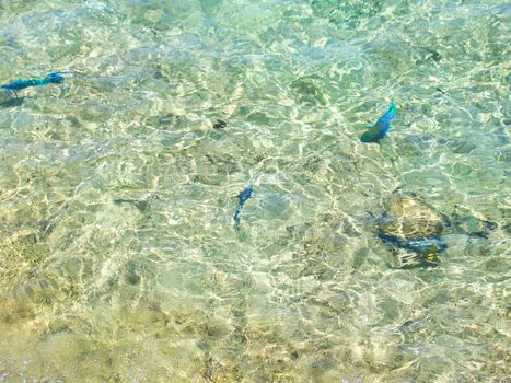 Clear transparent water in the shallows of the coastal beach