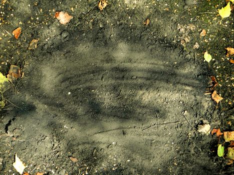 Scorched ground with dry autumn leaves for background