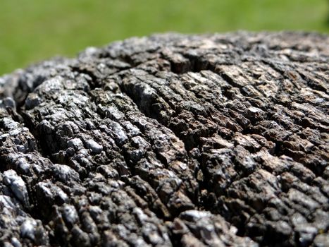 photo of Painted wood texture with deep fissures