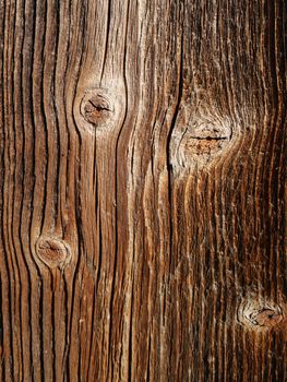Photo of brown wooden texture - wood grain