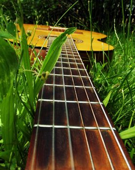 Photo of guitar on the green grass