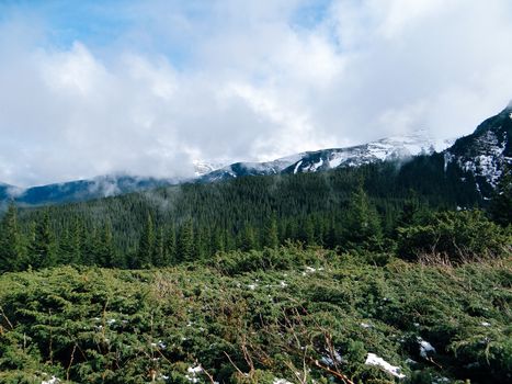 Carpathian landscape, view from the mountain Goverla