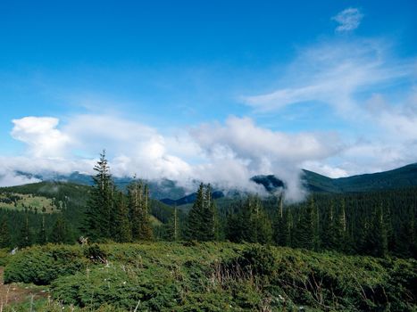 Carpathian landscape, view from the mountain Goverla