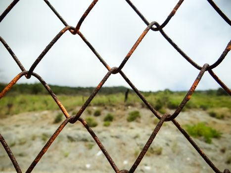 Old iron wire fence, close-up wire mesh fence