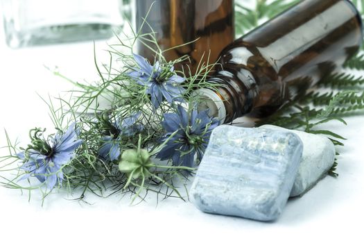 herbal medicine and flower