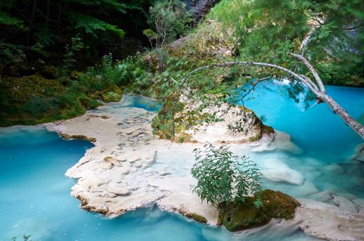 Urederra River (Navarra, Spain) takes an amazing blue color near its spring.