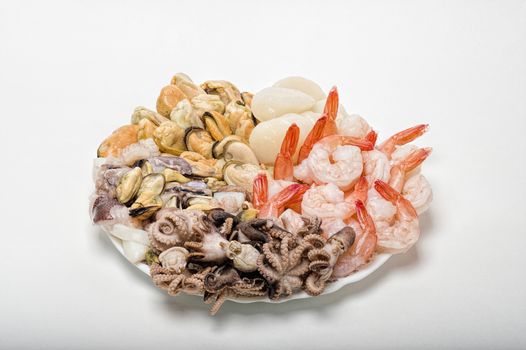 great variety of fresh seafood lying on a plate