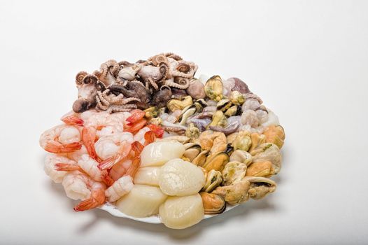 great variety of fresh seafood lying on a plate
