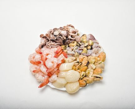 great variety of fresh seafood lying on a plate