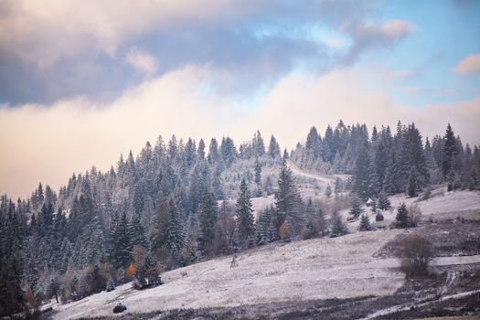 First snow in autumn. Snowfall in mountains. Carpathian mountains