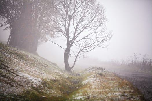 First autumn snow on alpine mountain misty road. Snow on the grass.