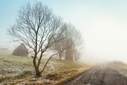 First autumn snow on alpine mountain misty road. Snow on the grass.