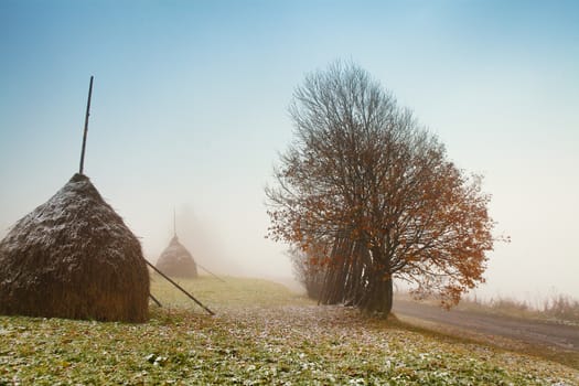 First autumn snow on alpine mountain misty road. Snow on the grass.