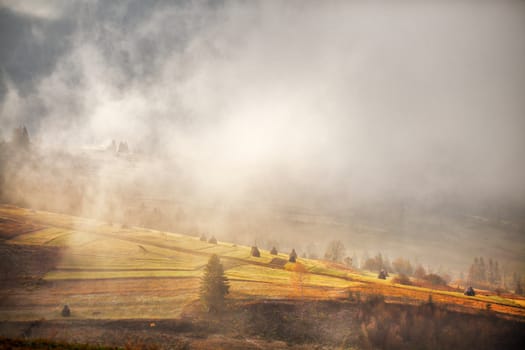 November misty morning in Carpathian mountains