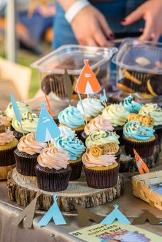 Delicious cupcakes with colored cream on wooden stumps