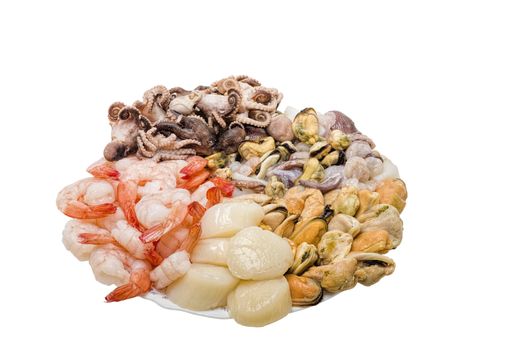great variety of fresh seafood lying on a plate
