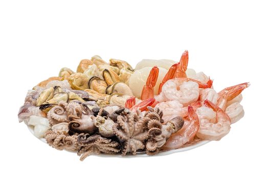great variety of fresh seafood lying on a plate