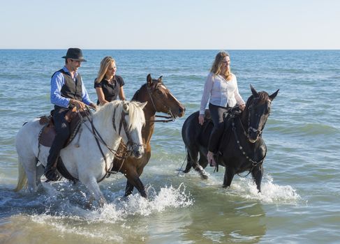 group of horse riders walking in the sea