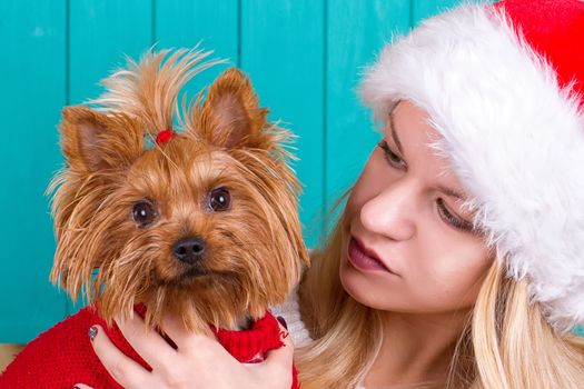 Beautiful girl in santa cap with yorkie dog in red sweater