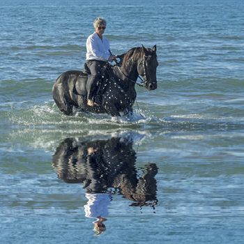 woman horse riding her black stallion in the sea