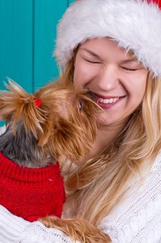 Beautiful girl in santa cap with yorkie dog in red sweater