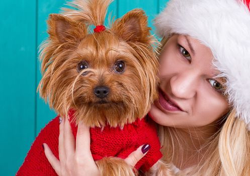 Beautiful girl in santa cap with yorkie dog in red sweater