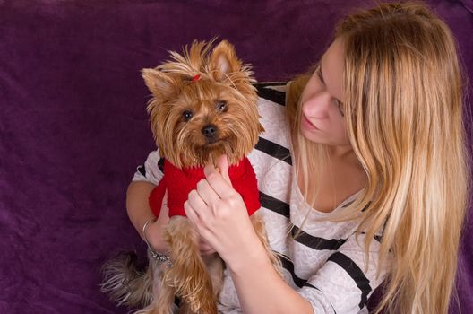 Cheerful beautiful young girl having fun with dog Yorkshire terrier