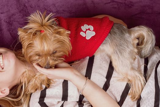 Beautiful young girl playing with her yorkshire terrier at home laying down at sofa and kissing her pet