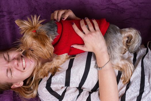Beautiful young girl playing with her yorkshire terrier at home laying down at sofa and kissing her pet