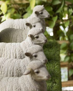 Image of statue sheep on nature background.