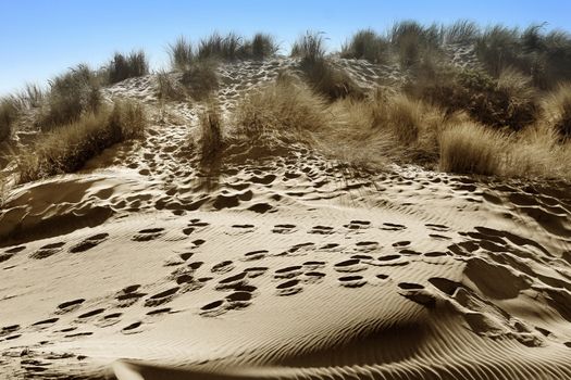 Sand dunes with footprints on a beach in California