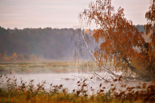 October morning on the river in Belarus