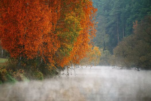 October morning on the river in Belarus