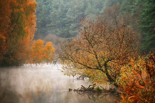 October morning on the river in Belarus