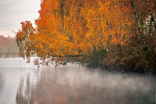 October morning on the river in Belarus