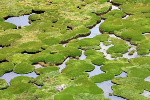 Water holes in the fields of the peruvian andes, the water is nicely forming bends and holes