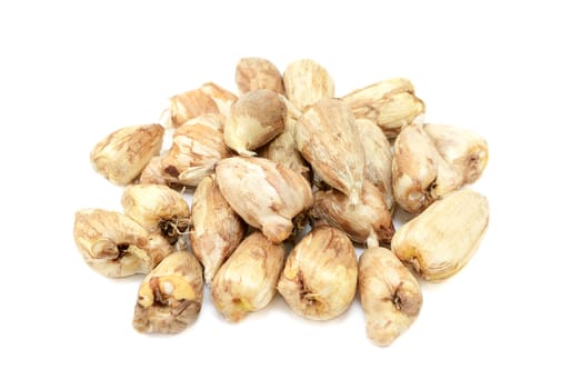 Pile of freesia bulbs with papery skins, isolated on white background