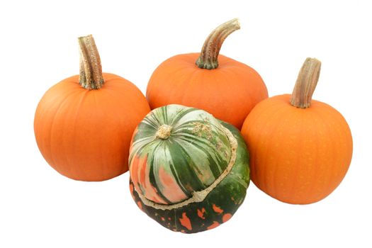 Green and orange Turks turban squash with three ripe orange pumpkins, isolated on a white background