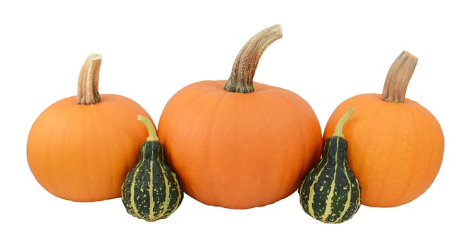 Three orange pumpkins with two green ornamental gourds, isolated on a white background